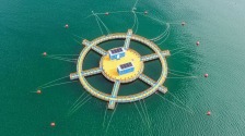近海生态系统野外受控试验平台在山东荣成运行_fororder_20260721f2242272710f41ce85b2f1d6937631bb_202607218cf4055dc1cf4355a5382e56ba674cd5