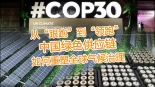 【国际3分钟】从“跟跑”到“领跑”：中国绿色供应链如何重塑全球气候治理_fororder_微信图片_20251205134918