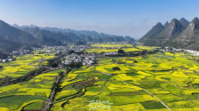 诗意峰林 黄金遍地！黔西南万峰林6000亩油菜花开_fororder_67b952a2-3098-43e1-9802-487795c4b6f5.1024x552.750x404
