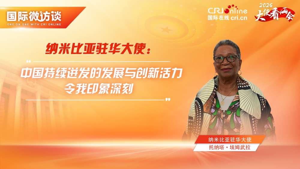 纳米比亚驻华大使：中国持续迸发的发展与创新活力令我印象深刻_fororder_两会 纳米比亚大使