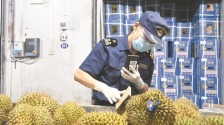 崇左：东盟果“快进” 本地果“精进”-国际在线_fororder_水果