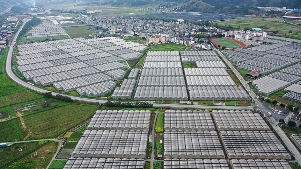 【新思想引领新征程】绘就乡村全面振兴新画卷_fororder_1774784720026_752