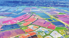 山西运城持续推进盐湖生态修复