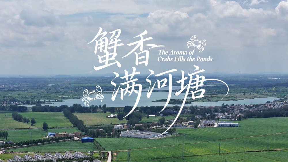 鲜味中国 四季农香 | 蟹香满河塘_fororder_7abb23ab6efcdb5f4a20d03ee1a6db7_副本