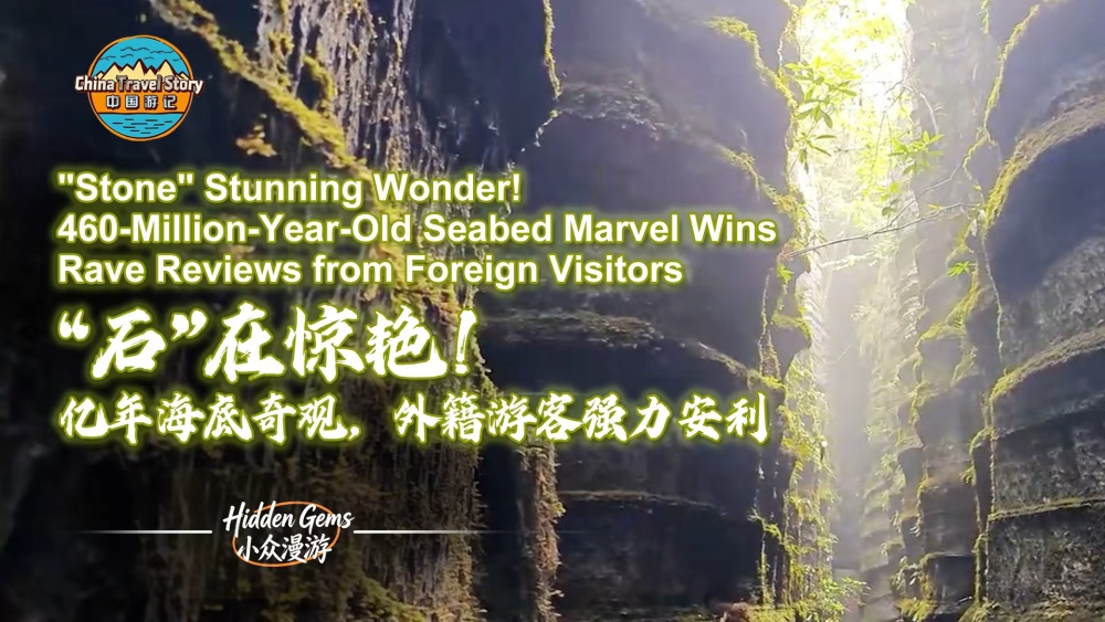 “石”在惊艳！亿年海底奇观，外籍游客强力安利_fororder_微信图片_2026-05-19_143451_821