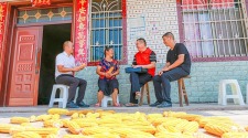 资阳市安岳县芭蕉村第一书记陈思文的为民实践_fororder_1