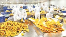 广西自贸试验区崇左片区：沿边开放新高地在破局中崛起_fororder_榴莲