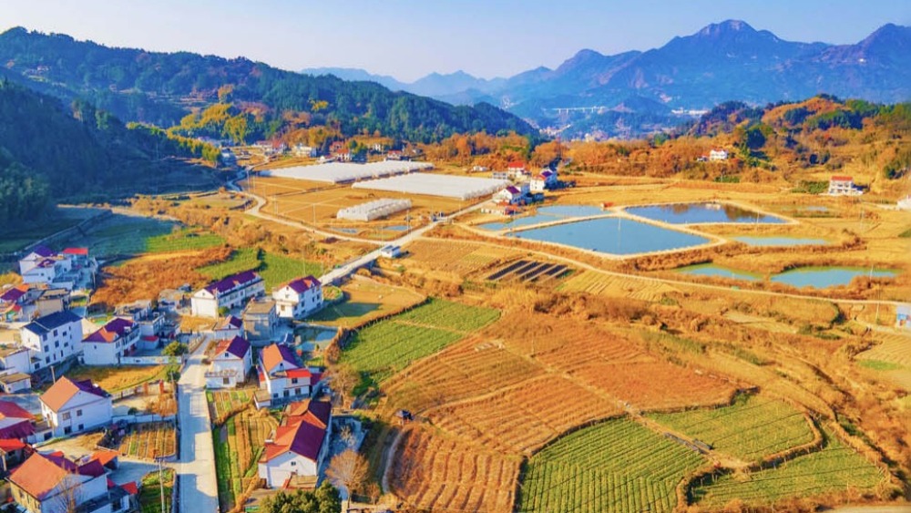 【新思想引领新征程】锚定农业农村现代化 扎实推进乡村全面振兴