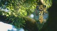 遇见习近平丨跨越山海，续写“鼓岭情缘”_fororder_8550d637-3497-48a1-b7f5-a8e2b16709f2.1920x1080