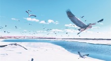 浪漫春雪迎鸟归_fororder_aae45d4ddaef4005886d63cf34bebe7c.767x432.750x2147483647