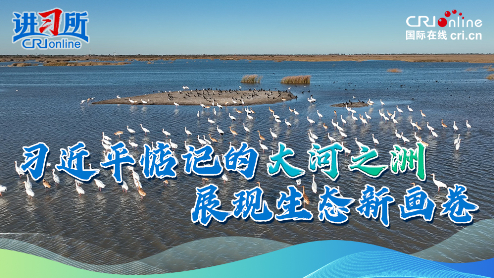 习近平惦记的大河之洲展现生态新画卷_fororder_大河之洲-横(1)