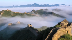 世界问 中国答丨中国共产党为什么能？_fororder_微信截图_20260629093838