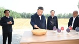 习近平在山东德州考察