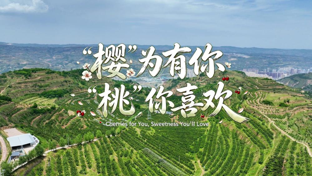 【鲜味中国·夏溢】“樱”为有你 “桃”你喜欢_fororder_0b5d40cd6a5ff419b995ffe79133ba7(3)
