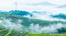 宁德屏南：雾漫茶山翠千重_fororder_360截图20260415093250512