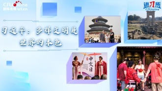 【讲习所·中国与世界】习近平：多样文明是世界的本色
