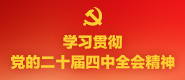 学习贯彻党的二十届四中全会精神_fororder_x学习贯彻党的二十届四中全会精神-185x80