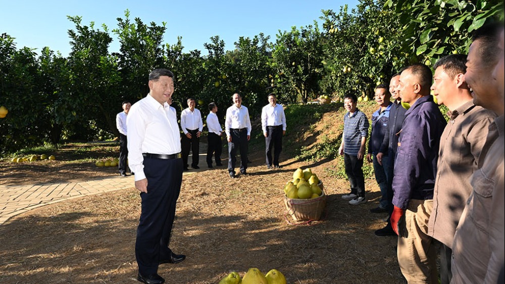 习近平在广东省梅州市考察调研_fororder_1762526259454_172