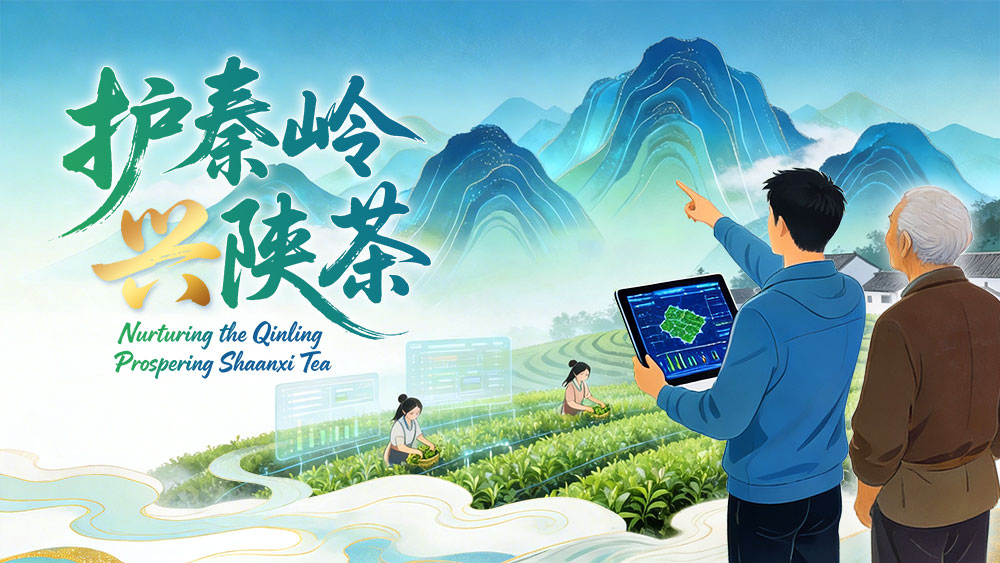 “县”声夺人·春潮起 | 护秦岭 兴陕茶_fororder_焦点图-1000x563-1