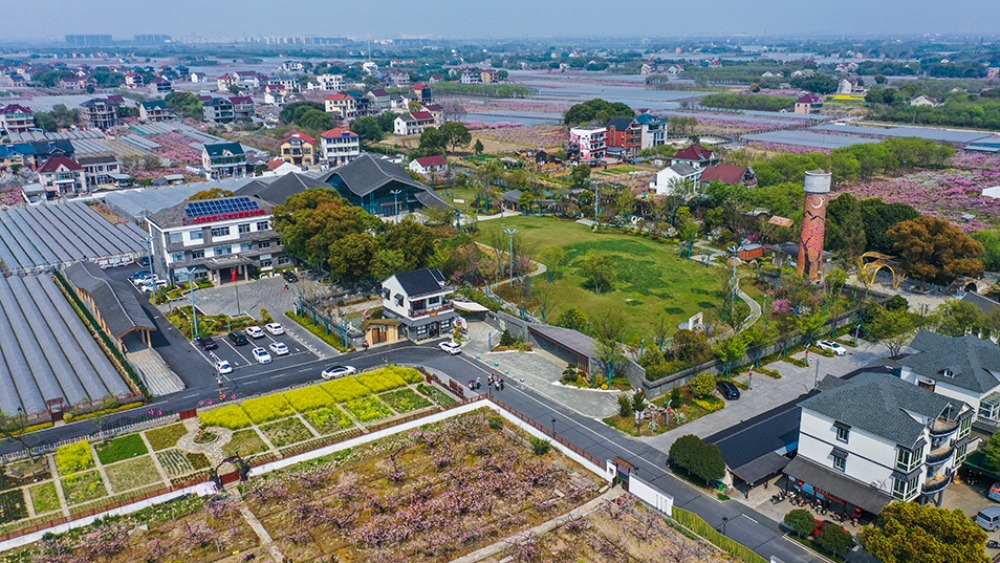 【“十五五”开好局起好步】奋发进取 绘就乡村振兴新图景_fororder_1768043681470_590