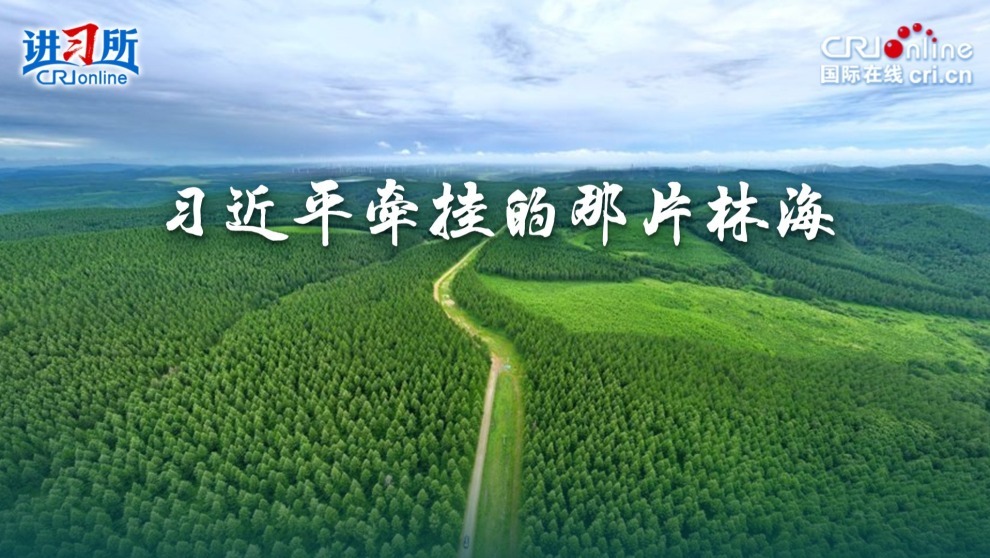 习近平牵挂的那片林海_fororder_习近平牵挂的那片林海(3)