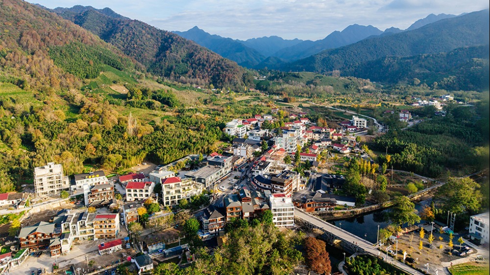 【“十五五”开好局起好步】做强特色优势产业 全面推进乡村振兴_fororder_1768735983104_261 (1)