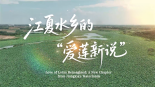 鲜味中国 四季农香 | 江夏水乡的“爱莲新说”_fororder_134