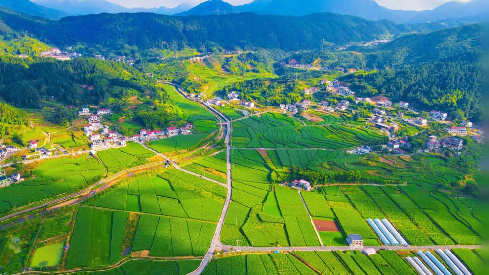 【践行新发展理念 中国经济行稳致远】乡村全面振兴扎实推进 农业农村现代化迈出坚实步伐_fororder_1765106483532_499