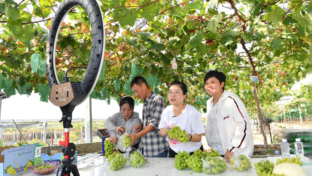 【新思想引领新征程·非凡“十四五”】发展乡村特色产业 推进乡村全面振兴_fororder_1763293585625_759