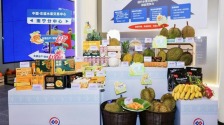 广西打造东盟水果进入中国的“门户枢纽”_fororder_水果