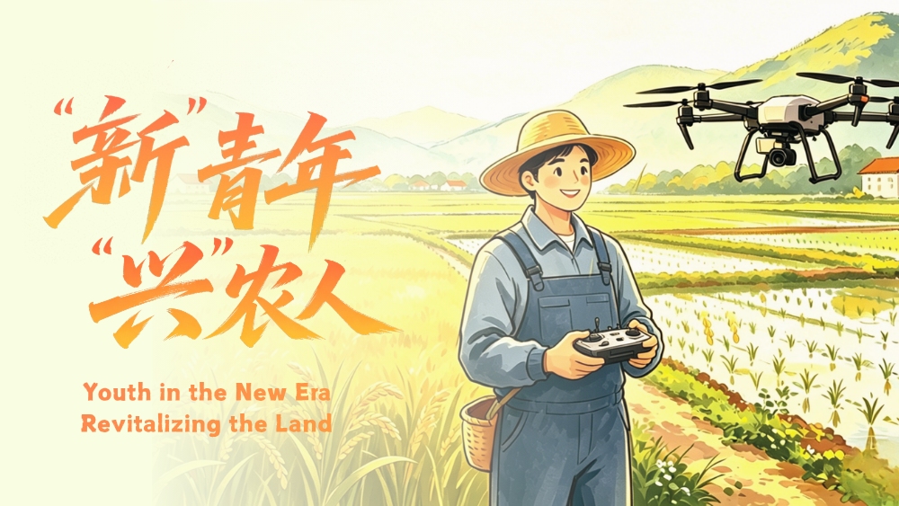 “新”青年 | 我在村里修飞机_fororder_中首图