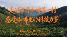 【澜湄之窗】走进“中国咖啡第一村”，感受咖啡里的科技力量_fororder_微信图片_〉〇〉「-〇【-〉【_〇【》「〇『_」《〇