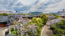 六连冠 成都高新区厚植电竞沃土培育王牌战队_fororder_4b88f38eaa3c4145bb15d03242b4b6ec.800x449.750x2147483647