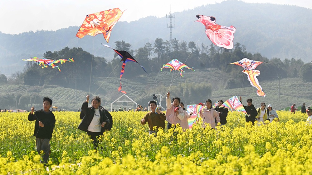 春和景明 赏花经济持续火热_fororder_1774758718401_41