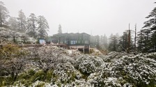 眉山洪雅：瓦屋山初雪早至 彩林云海引客打卡_fororder_1
