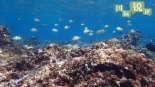 【国际锐评】菲方所谓“抗议”恰恰证明中方对黄岩岛生态保护合理合法