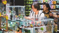 宠客吸粉 老景区有新玩法_fororder_1
