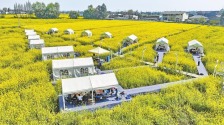“2025春游四川·飞花令”活动启动_fororder_1