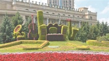 花草织就夏日美景_fororder_1169e17bbaeb4eec9e848b6c4033e1f8.768x575.750x2147483647
