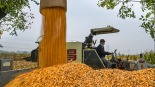 “十四五”时期国家粮食安全得到有效保障_fororder_1760506614928_462