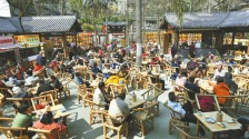 用成都人的方式打开春天_fororder_d61d49bd-d80c-4427-8b37-8bb5ea0d847f.800x532.750x498