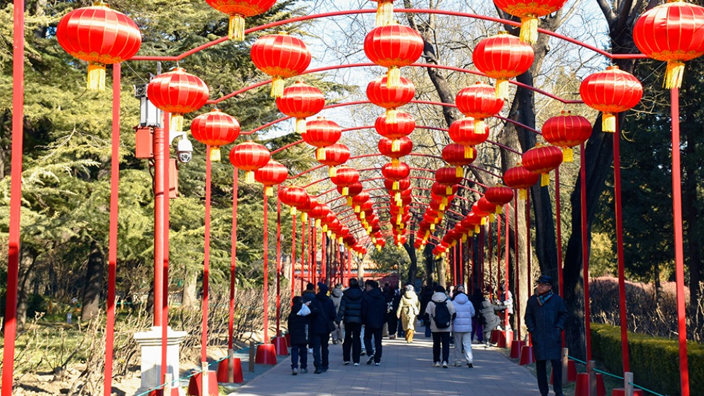 多彩活动闹新春 喜庆祥和中国年_fororder_1771414257979_504