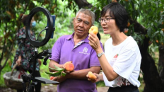 全国人大代表岳巧云：科技点亮桃乡新梦_fororder_a0847e46-66ca-4259-aac2-6e380ad9cc4f.1024x695.750x509