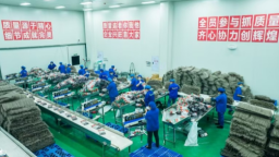 重庆彭水多举措促进城镇新增就业