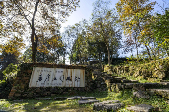 重庆高校40位国际青年集结湖北咸丰 搭建文明互鉴新桥梁_fororder_微信图片_20250509132601