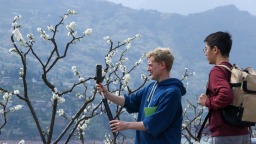 重庆：第八届长江三峡（巫山）李花赏春季启动