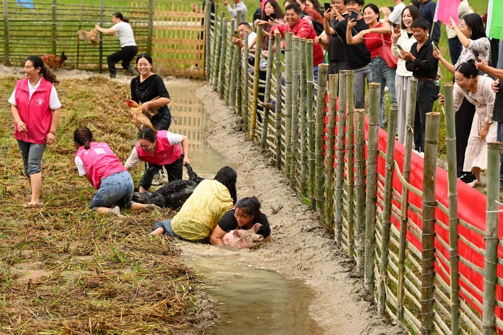 重庆：乡韵更浓郁 乡土更青春