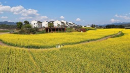 重庆：畅游油菜花海 乐享美好春光