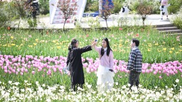 重庆：长寿湖郁金香盛放 游人如织醉春光