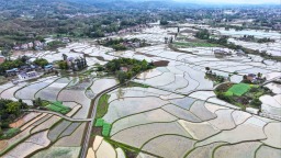 重庆梁平：田园如镜美如画